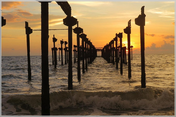 Beautiful family home stays in
											alappuzha