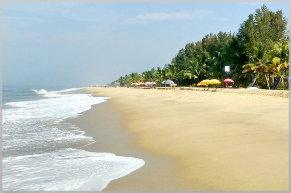 Best couple homestays in alappuzha marari