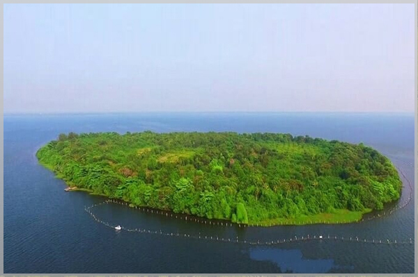 Homely Atmosphere Homestay in  alleppey