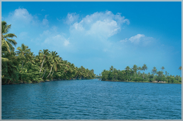 Top
											famous homestay in near alappuzha